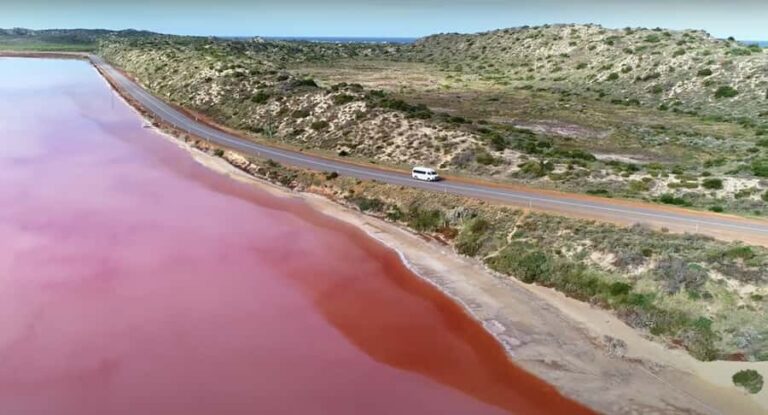 Kalbarri: Pink Lake and Coastal Cliffs Tour - Practical Details and Value