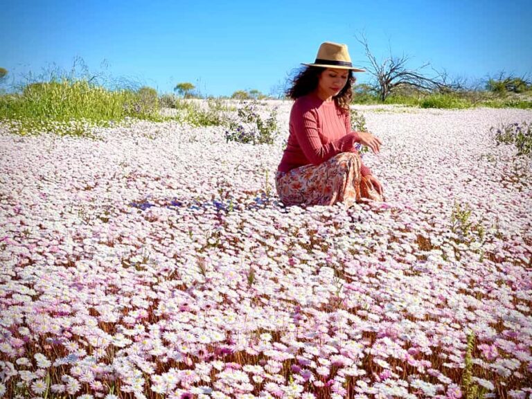 Kalbarri Wildflower Tour with Local Guide - What Reviewers Say