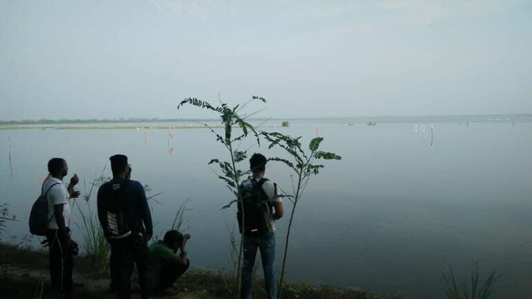 Kaluveli Wetlands Birdwatching Tour with Naturalist - What to Expect on the Kaluveli Wetlands Birdwatching Tour