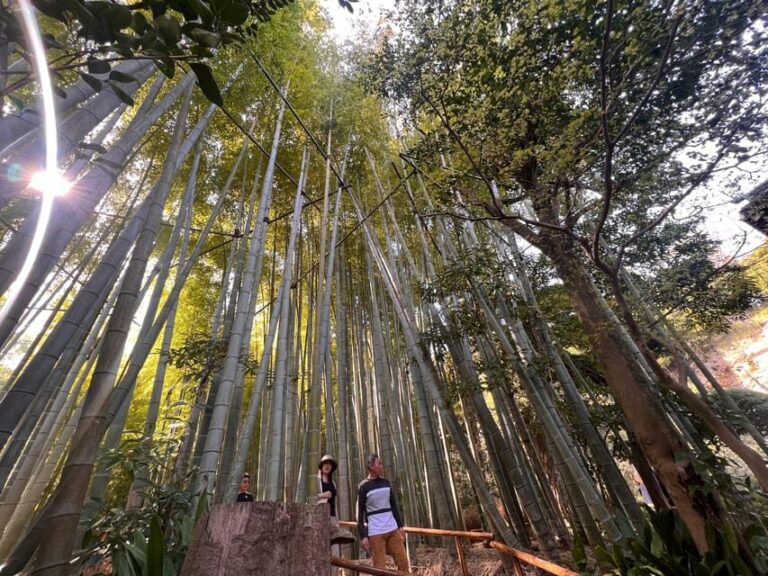 Kamakura and Enoshima: Private Guided Day Tour with Vehicle - What Do the Reviews Say?