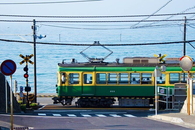 Kamakura Full Day Tour: Kotoku-in & Enoshima & Hachimangu Shrine - Transportation and Group Dynamics
