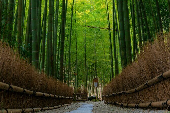 Kamakura Samurai Legends Shrines and the Great Buddha - What’s Included and What’s Not