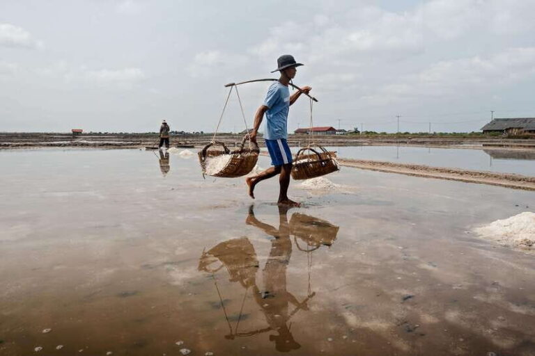 Kampot: Salt Fields, Pepper Farm, and Secret Lake Tour - Who Is This Tour Best For?