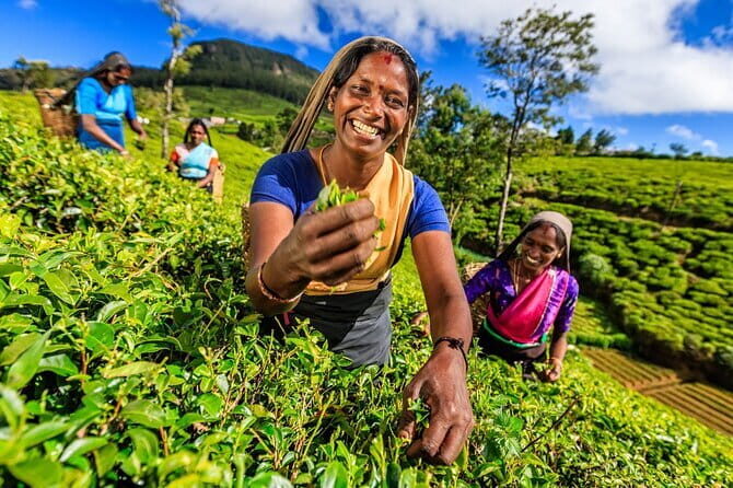 Kandy All Inclusive Day Tour from Colombo - Exploring the Stops