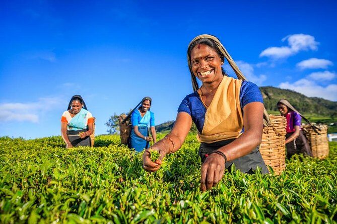 Kandy Nature & Culture Tour - Why Youll Love the Tour