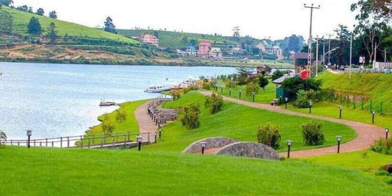 Kandy & Nuwara Eliya: 2-Day Tour! - Who This Tour Is Best For