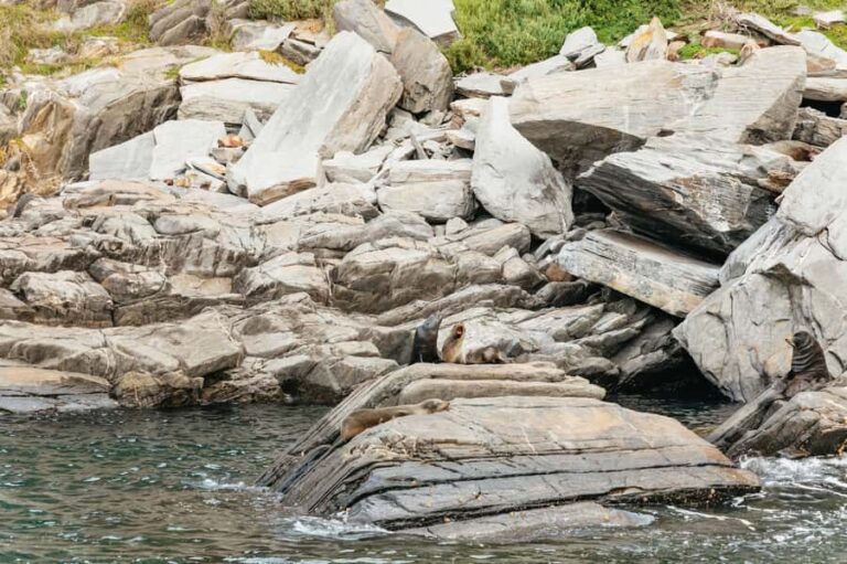 Kangaroo Island: 75-Minute Coastal Safari - Why Choose This Safari?