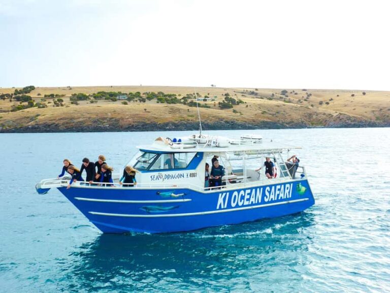 Kangaroo Island: Dolphin, Seal, and Swimming Boat Tour - Logistics and Practicalities