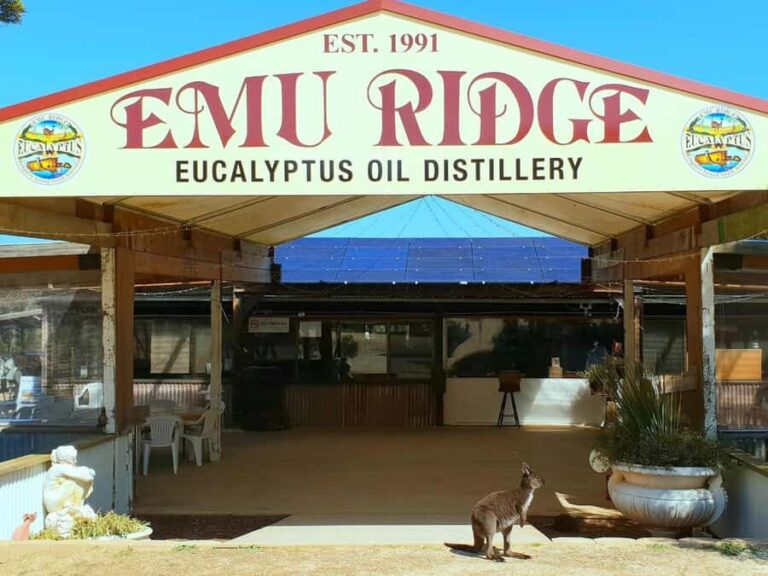 Kangaroo Island: Half-Day Tour Guided Coach Tour - What Travelers Can Expect