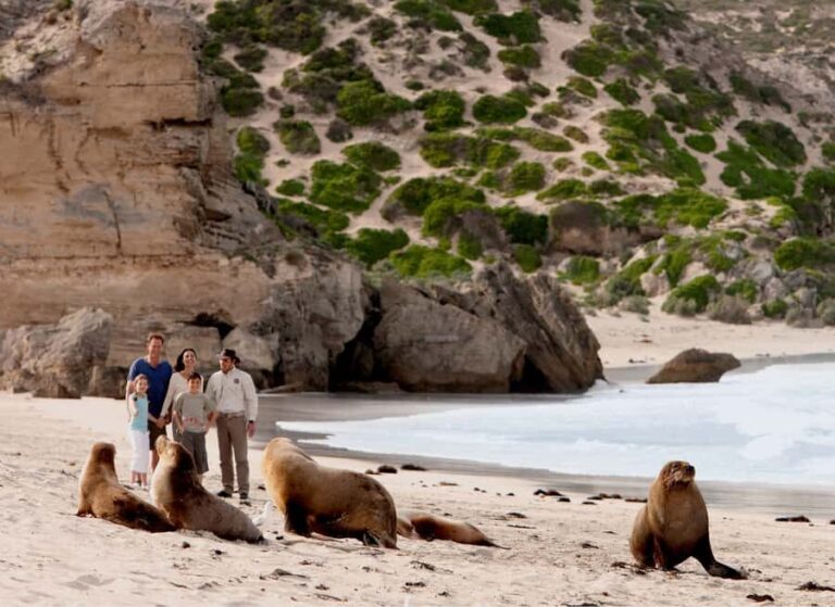 Kangaroo Island: Scenic, Nature & Wildlife Tour - The Impact of Guides and Group Size