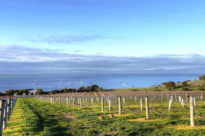 Kangaroo Island Shore Excursion Tasting Tour - For Cruise Ship Passengers Only - Who Should Consider This Tour?