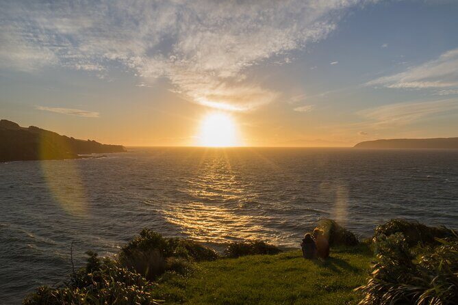 Kapiti Coast and Foxton Area Beaches Day Tour - Who Should Consider This Tour?