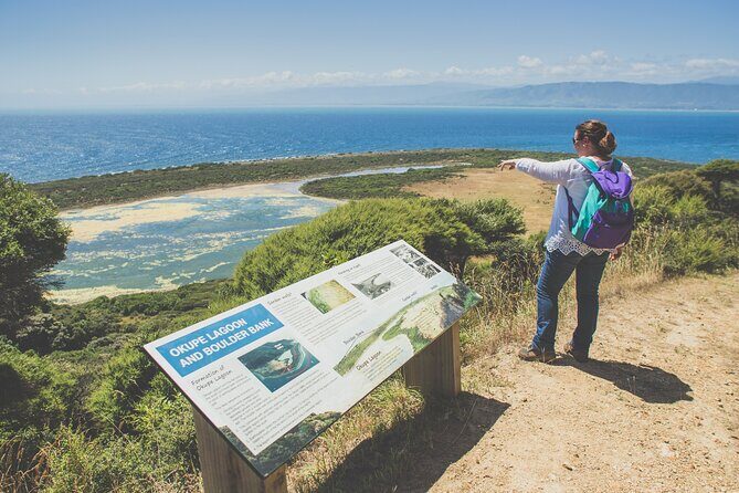 Kapiti Island Classic Guided Day Tour - Final Thoughts