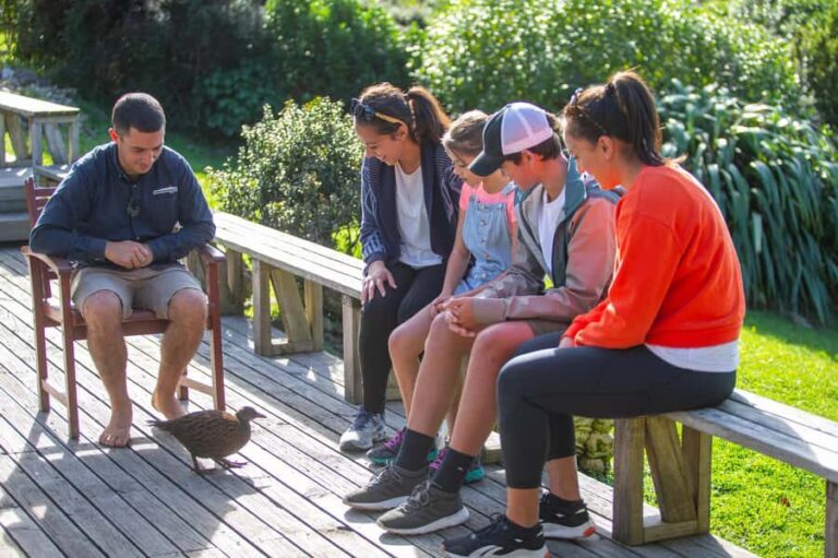 Kapiti Island: Classic Guided Day Tour - The Small Group Advantage