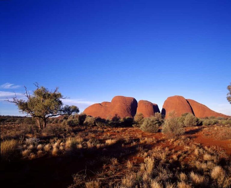 Kata Tjuta Private Guided Sunrise Tour - Exploring Walpa Gorge: Nature and History Intertwined