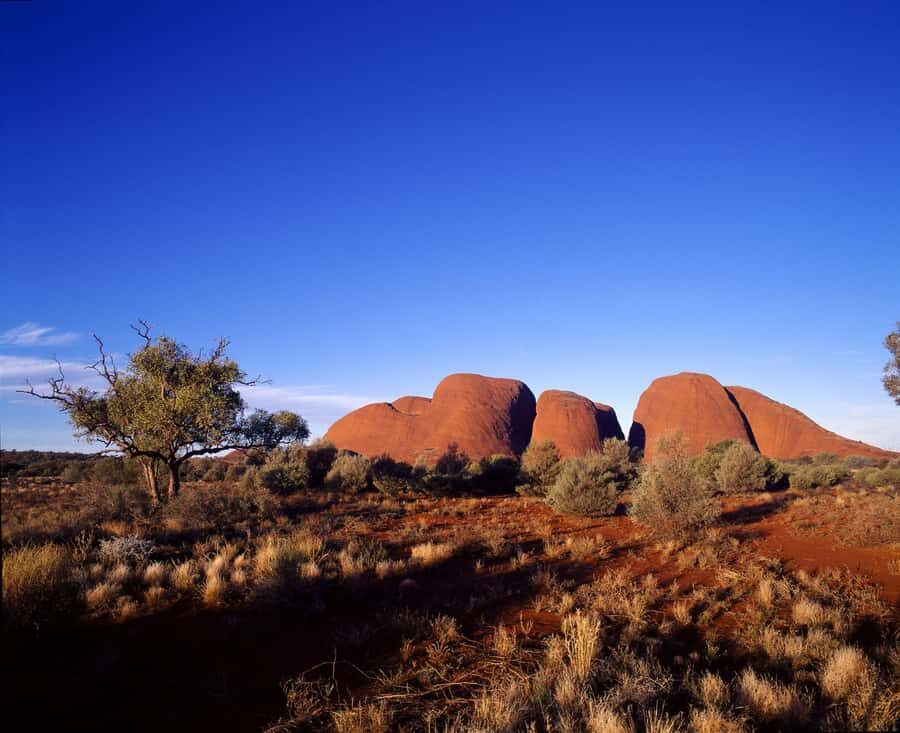 Kata Tjuta Private Guided Sunrise Tour - Exploring Walpa Gorge: Nature and History Intertwined