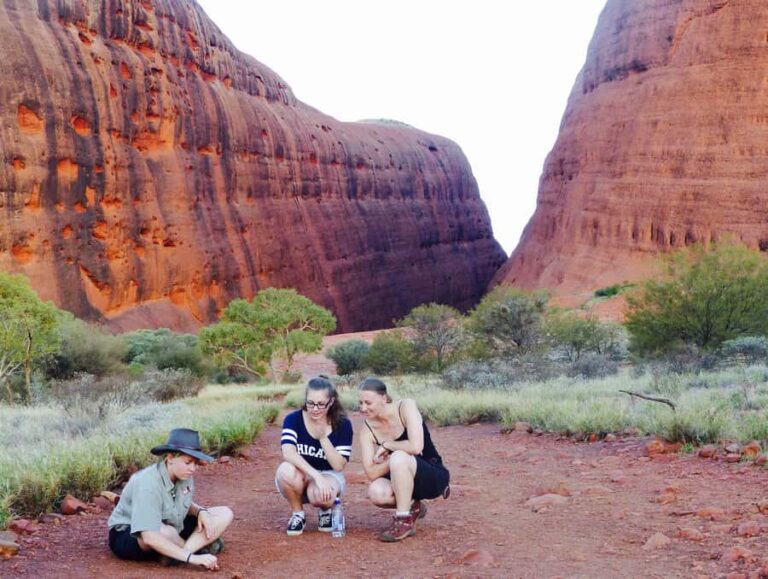 Kata Tjuta: Small Group Sunrise Tour with Picnic Breakfast - Practical Details & Value
