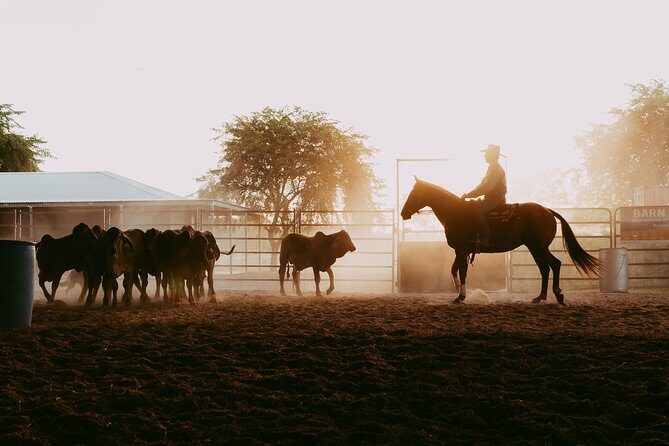 Katherine Outback Experience Show Ticket - Why Visitors Love It
