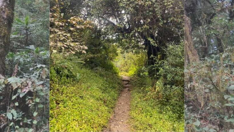 Kathmandu: 1N-2D Hiking to Chisapani and Nagarkot - Why This Tour Is a Great Choice