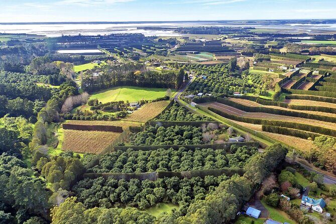 Katikati Avocado Adventure - Who Should Consider This Tour?