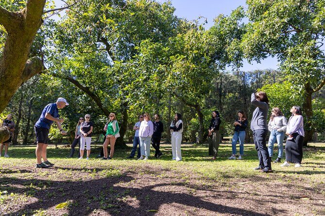 Katikati Gourmet Avocado Tasting - Who Will Love This Tour?
