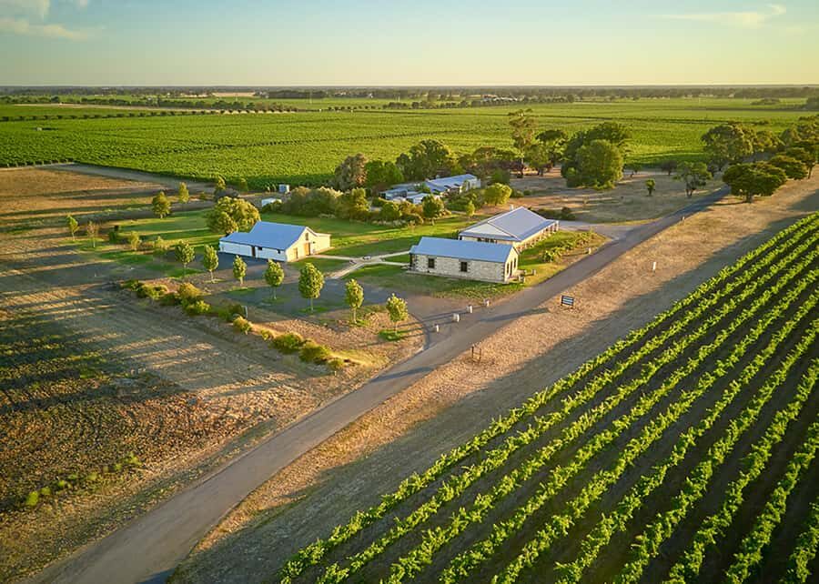 Katnook Estate: Icon Wine Tasting and Regional Platter for 2 - Who Should Consider This Experience?