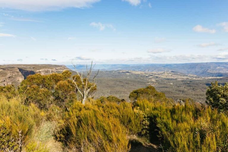 Katoomba: Lyrebird Hop-On Hop-Off and Scenic World Pass - Who Is This Tour Best For?