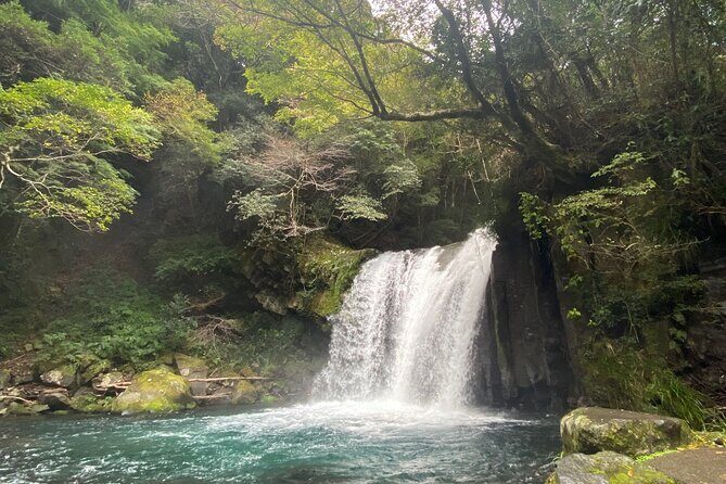 Kawazu Seven Falls Guided Tour - Pricing and Value