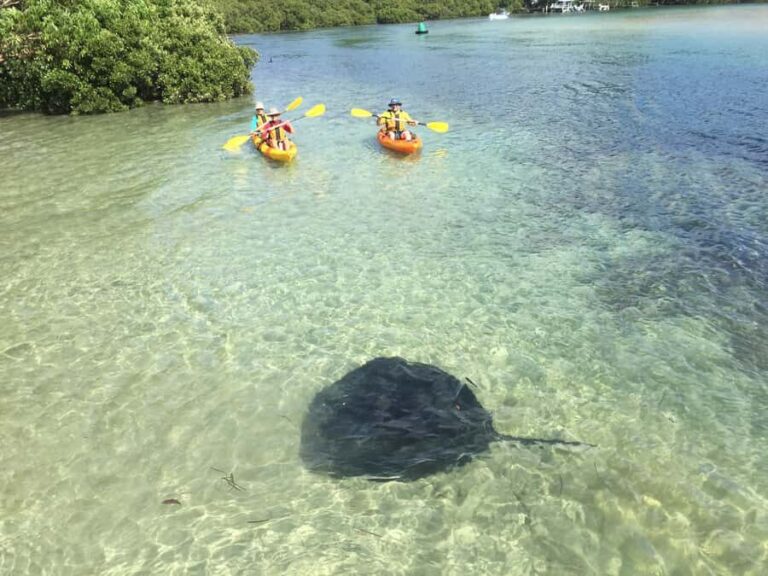 Kayak Hire Batemans Bay - An In-Depth Look at Kayak Hire Batemans Bay
