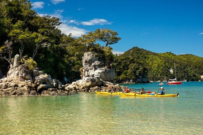 Kayak & Pitt Head Nature Loop - Guided Kayak & Unguided Walk - New Zealand - Practical Details and What to Expect