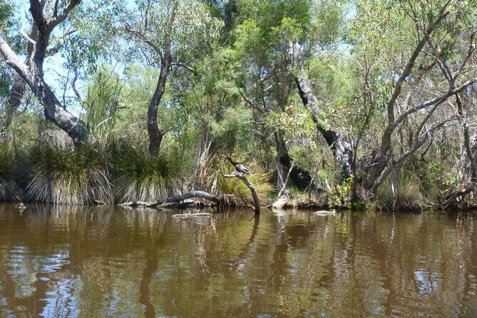 Kayak Tour on the Canning River - Practical Details