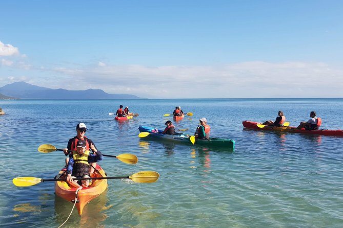Kayak Turtle Tour from Palm Cove - FAQs About the Palm Cove Kayak Turtle Tour