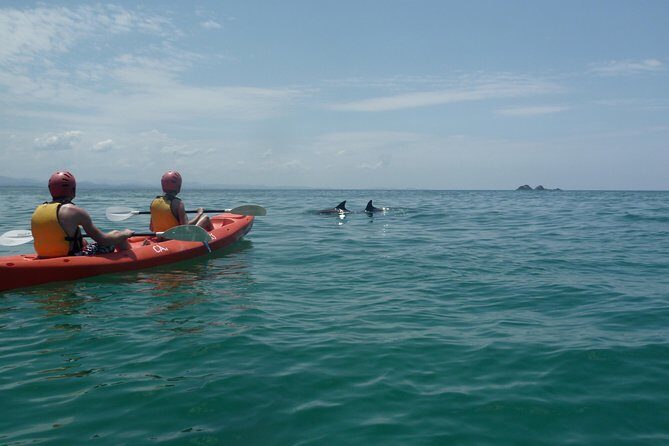 Kayaking with Dolphins in Byron Bay Guided Tour - The Experience from a Traveler’s Perspective