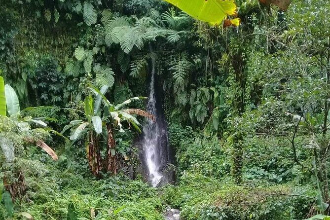 Keliki Village Tour And Rice Field Walk Including Lunch Or Dinner - Why This Tour Offers Great Value