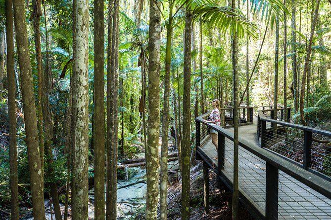K'gari (Fraser Island) All Inclusive Day Tour - In-Depth Look at the Itinerary