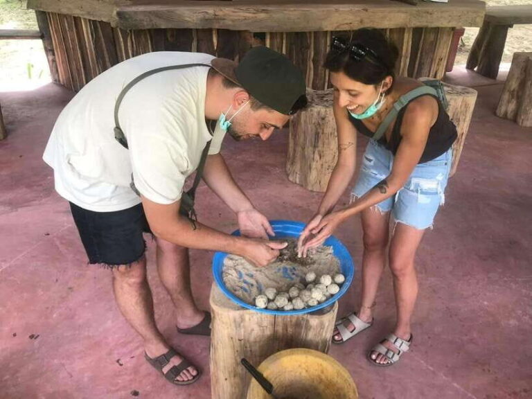 Khao Sok: Ethical Elephant Experience & Nature Walk - Why This Tour Is a Great Choice