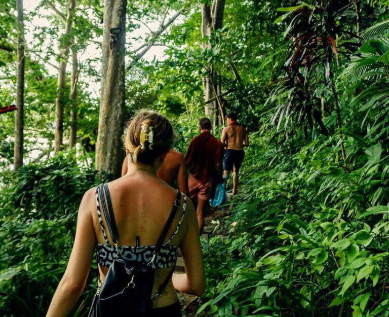 Khao Sok: Private Waterfalls and Wildlife Half-Day Trek - Who This Tour Is Best For