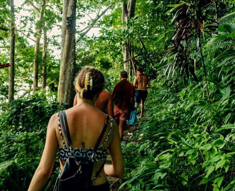 Khao Sok: Private Waterfalls and Wildlife Half-Day Trek - Who This Tour Is Best For