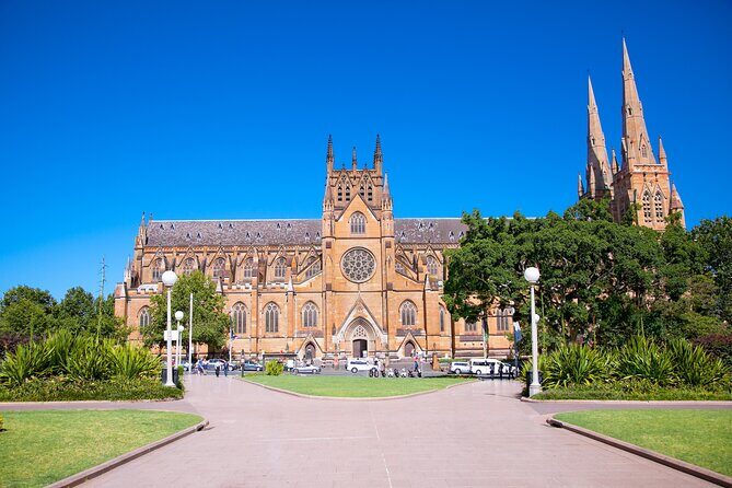 Kid-Friendly Sydney City Private Guided Tour for Families - Why This Tour Offers Good Value