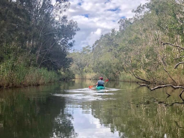 Kingscliff: 2 Hour Kayak Fishing Adventure (Self-Guided) - Final Thoughts: Who Is This Tour For?