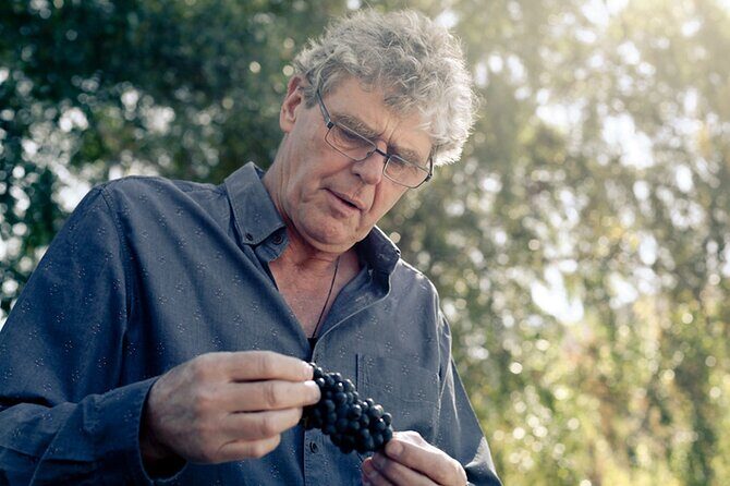 Kinross Winery: Valli Wine Tasting Experience - The Experience: A Closer Look