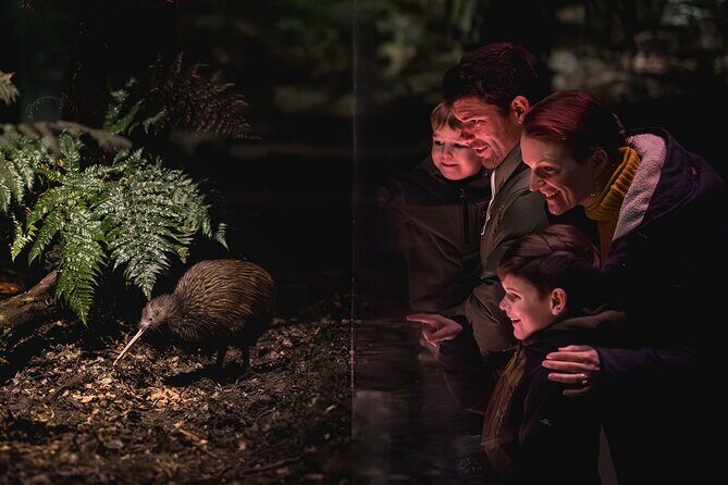 Kiwi Park Queenstown Admission - Who Should Visit Kiwi Park Queenstown?