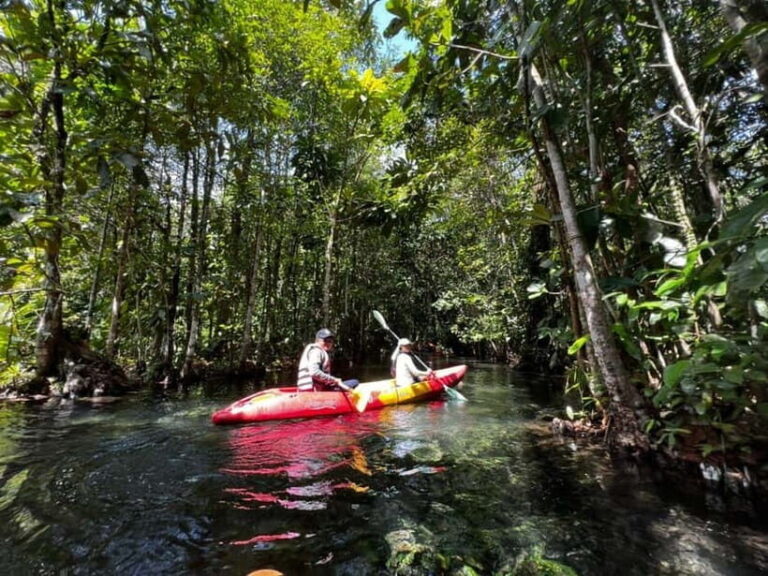 Klong Rud Kayaking with Hotel Transfer - The Route and What to Expect