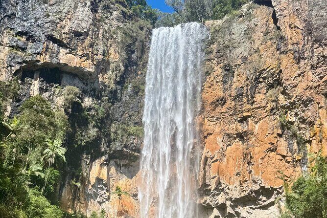 Koalas, 6 Springbrook Waterfalls and Natural Bridge Day Tour - What’s Included and What to Expect
