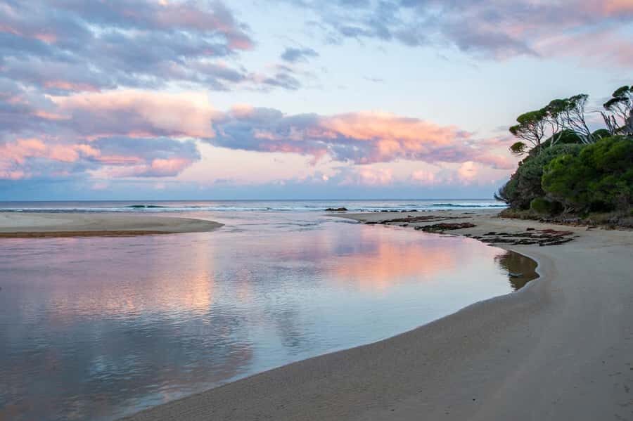 Koalas, Kangaroos and Lyrebirds - Final Thoughts: Who Would Love This Tour?