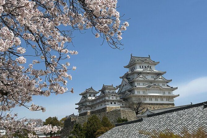 Kobe-Himeji Customize Tour with Pickup and Drop Off - Final Thoughts
