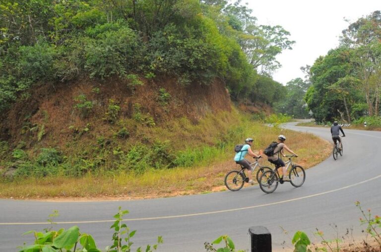 Kochi to Thattekkad - The Experience in Context