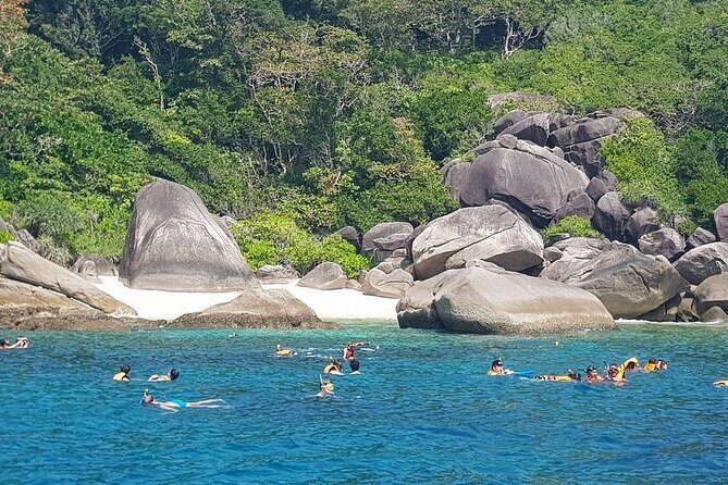 Koh Tao & Koh Nang Yuan Snorkeling Tour by Speed Boat from Samui - Authentic Experiences and What Travelers Say