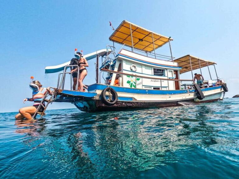 Koh Tao: Premium Snorkel Tour to Koh Nangyuan Bays by Oxygen - The Experience: A Deep Dive into the Tour
