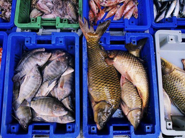 Korean Market Adventure with Chef Yie - Noryangjin Fish market - Why the Guides Make a Difference